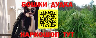 apvp Камышлов