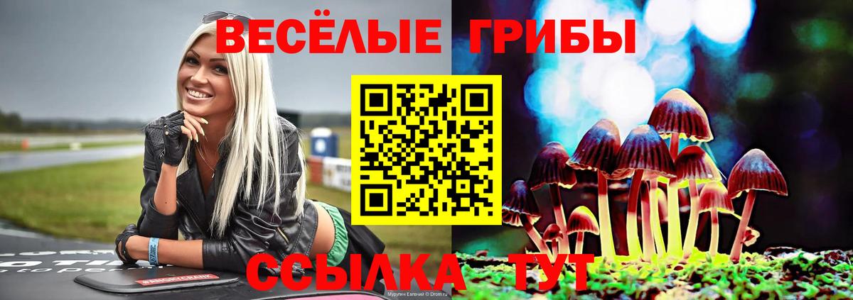 Псилоцибиновые грибы Cubensis  Вход с VPN  Майкоп 